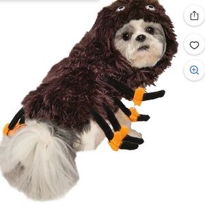 Spider Dog Halloween Costume